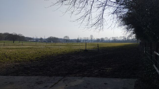 Offenstallplatz Rentnerplatz, Sarah , Horse Stables, Schermbeck , Image 11