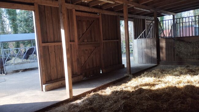 Offenstallplatz Rentnerplatz, Sarah , Horse Stables, Schermbeck 
