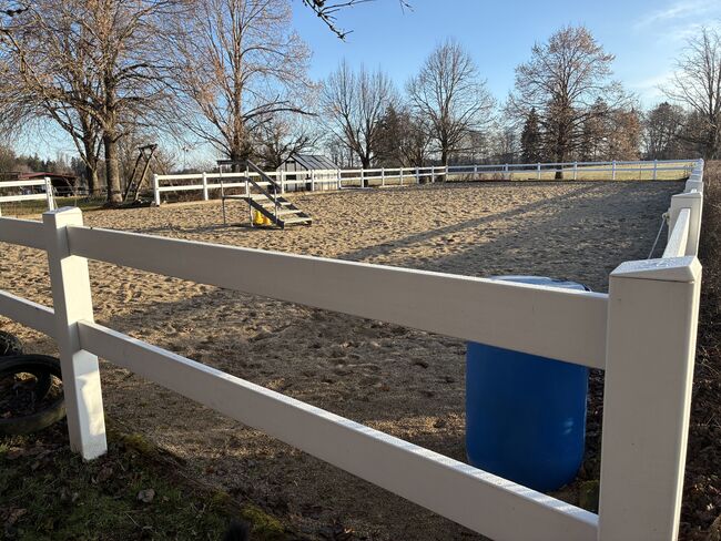 Offenstallplatz für kleineren Wallach, Annette Balcar , Horse & Stable Mats, Untrasried 