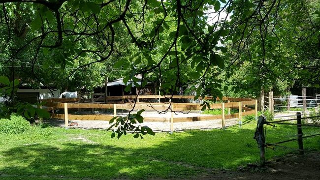 Offenstallplatz, Schnitzler , Horse Stables, Mönchengladbach, Image 3