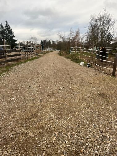 Offenstallplatz in kleinem Privatstall, geeignet für Ekzemer und Allergiker, Paddockboxen, Offenstall, Lena Lachner, Horse Stables, Haßloch, Image 4