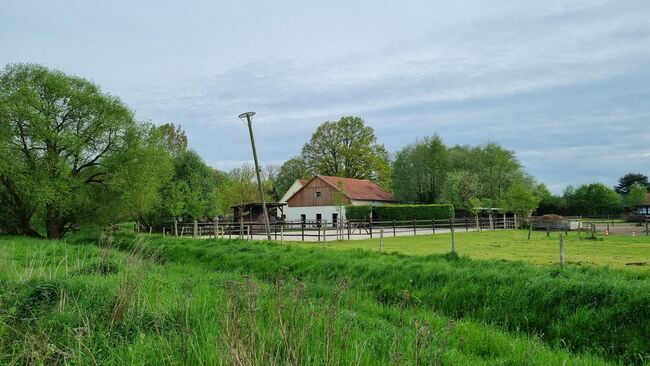 Offenstall Platz Stute oder Wallach, Open Ranch , Marina Schmidt , Horse Stables, Bissendorf , Image 2