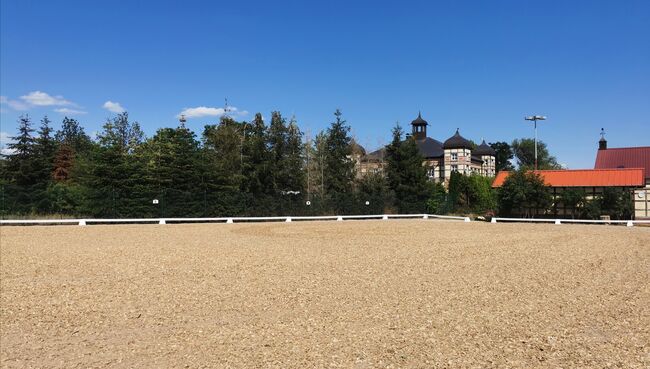 Offenstallplatz oder Box + Weide für 2 liebe Wallache, Katja Ecker , Horse Stables, Zörbig 