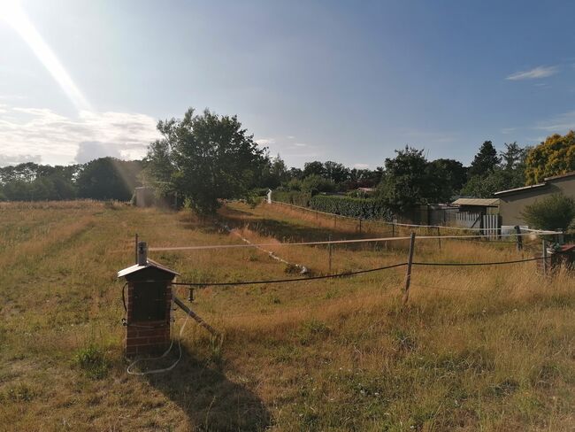 Offenstallplatz mit Paddock Trail in kleiner Herde, Teresa Kumpe, Horse Stables, Frankfurt (Oder), Image 13