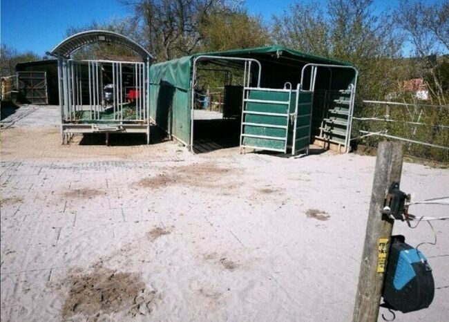 Pferde Offenstallplatz mit Weideland in Eltville / nur Wallache, Anaêl Esmailnejadi Arjomand , Horse Stables, Eltville am Rhein, Image 5