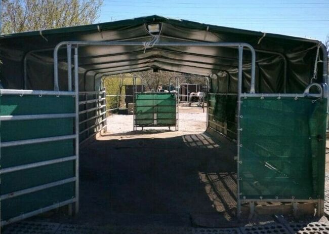 Offenstallplatz mit Weiden Selbstversorger Wallach ab sofort, Anaêl Esmailnejadi Arjomand , Horse Stables, Eltville am Rhein, Image 20