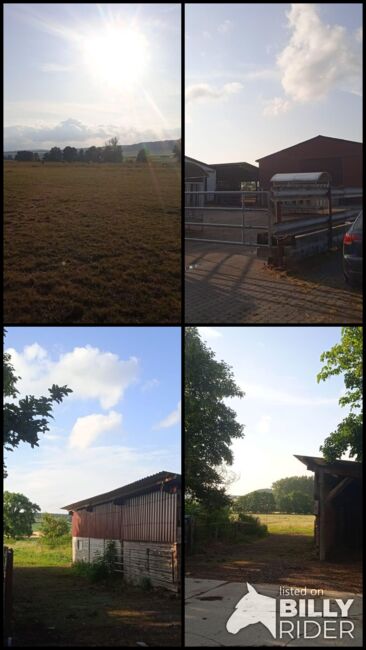 Offenstallplätze Frei, Yvonne Sanders, Horse Stables, Volkmarsen, Image 6