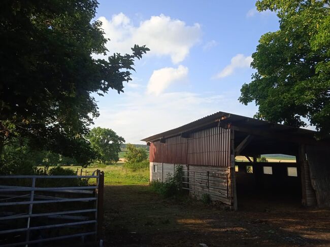 Offenstallplätze Frei, Yvonne Sanders, Horse Stables, Volkmarsen, Image 5
