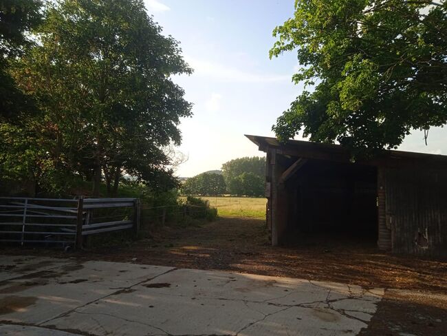 Offenstallplätze Frei, Yvonne Sanders, Horse Stables, Volkmarsen, Image 4