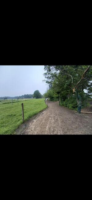 Offenstall bietet Platz, Beate Postel , Horse Stables, Hemmoor, Image 18