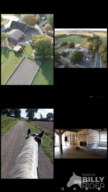 Offenstall bietet Platz, Beate Postel , Horse Stables, Hemmoor, Image 19