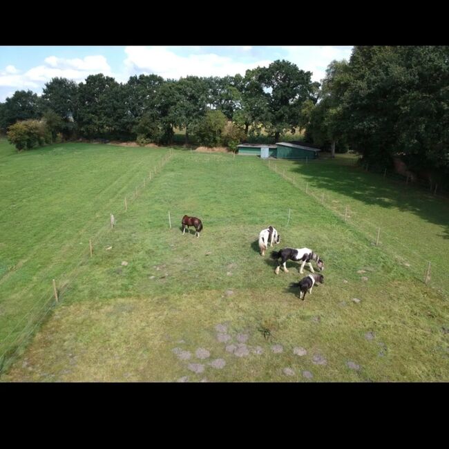 Offenstall bietet Platz, Beate Postel , Horse Stables, Hemmoor, Image 7