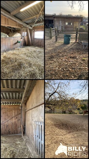 Offenstall, Elena Legl-Perzi, Horse Stables, Groß-Taxen, Image 5