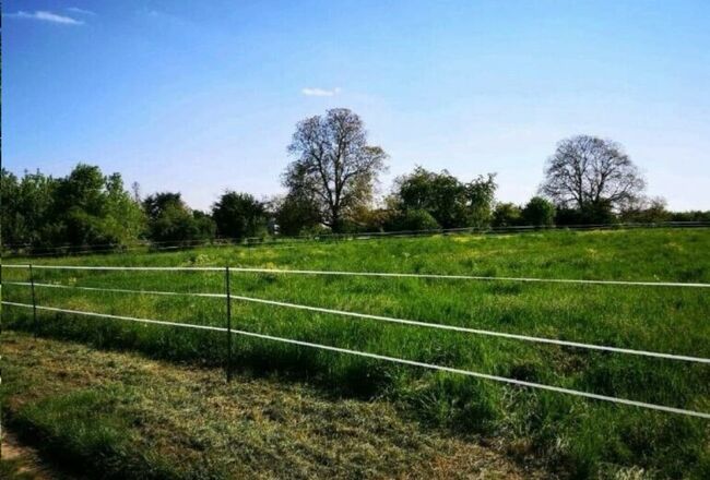 Pferde Offenstallplatz mit Weideland in Eltville / nur Wallache, Anaêl Esmailnejadi Arjomand , Horse Stables, Eltville am Rhein, Image 17