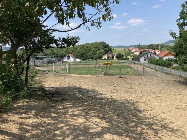 Offenstallplatz auch für Rehepferde geeignet, Corinna , Horse Stables, Bairisch Kölldorf, Image 7