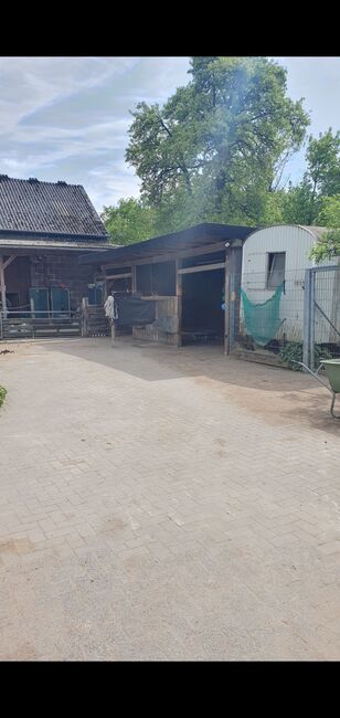 Offenstall Paddockbox Rehabox für klein Stute, Alina, Horse Stables, Bergkamen