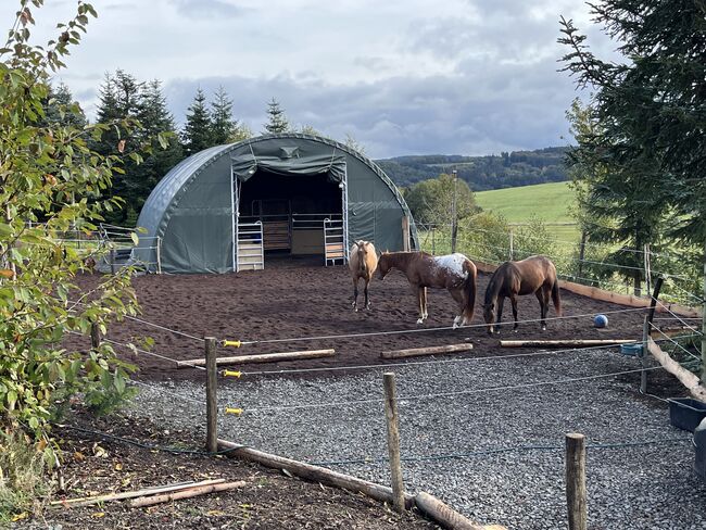 Offenstall, Einstellplatz, Beistellpferd, Daniela, Horse Stables, Schmidthachenbach