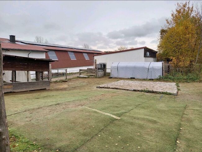 Offenstall zu vermieten Selbstversorger in Reitanlage, Franzi, Horse Stables, Ebsdorfergrund, Image 6