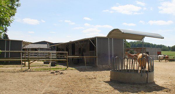 Offenstall für bis zu 3 Pderde, Patricia, Equestrian Properties, Schwentinental