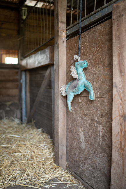 Offenstallplatz für Wallach, Makai, Horse Stables, Panketal, Image 3