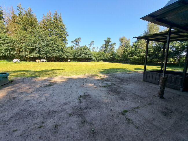 Offenstall für Wallach, Lisa Philipsen, Horse Stables, Westerrönfeld, Image 6