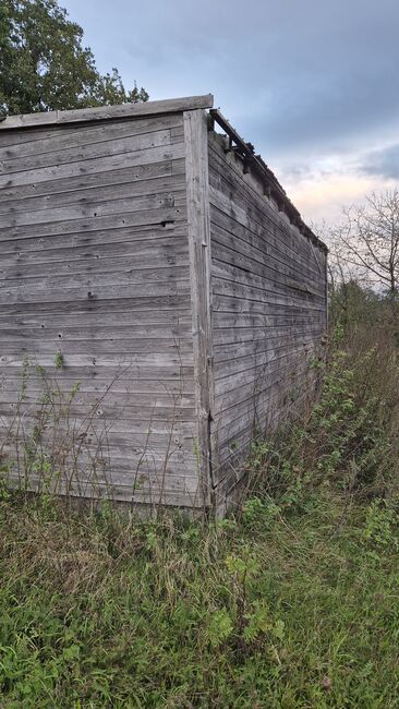 Offenstall, Weidehütte,, Lara, Horse Stables, Lollar, Image 10