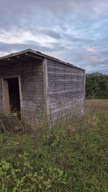 Offenstall, Weidehütte,, Lara, Horse Stables, Lollar, Image 3