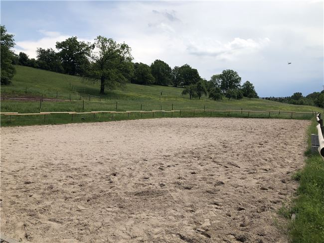 Offenstallplatz zu vergeben, -  - , Selina Schmid, Horse Stables, Deutschland 