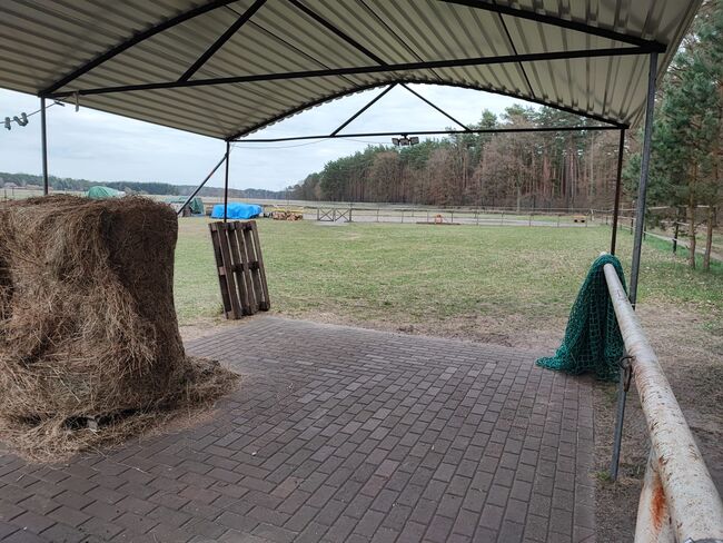 Offenstallplatz für Rehepferd/Rentnerplatz, Angy , Horse Stables, Madlitz-Wilmersdorf Wilmersdorf, Image 4