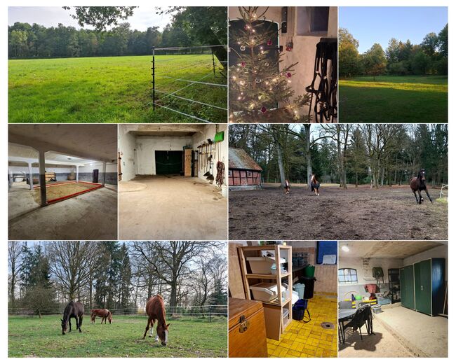 Offenstallplatz für Wallach mit Weide, Lena, Horse Stables, Soltau 