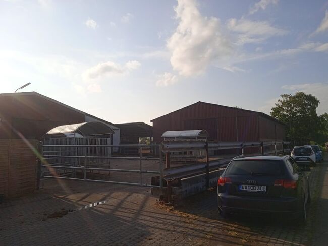 Offenstallplätze Frei, Yvonne Sanders, Horse Stables, Volkmarsen, Image 3
