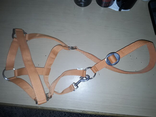 Oranges Set Pony, Halfter, Longe, Schabbi, 4er Gamaschen, neu, Preis s. Text, XYZ, Dressage Pads, Groß Wittensee, Image 4
