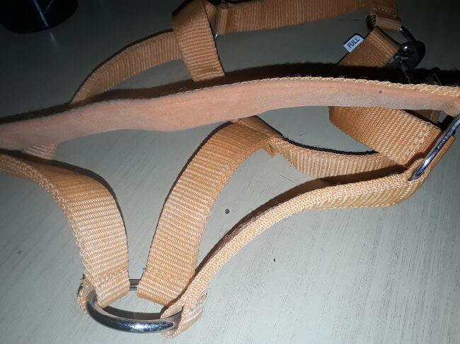 Oranges Set Pony, Halfter, Longe, Schabbi, 4er Gamaschen, neu, Preis s. Text, XYZ, Dressage Pads, Groß Wittensee, Image 2