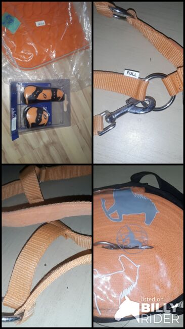Oranges Set Pony, Halfter, Longe, Schabbi, 4er Gamaschen, neu, Preis s. Text, XYZ, Dressage Pads, Groß Wittensee, Image 12