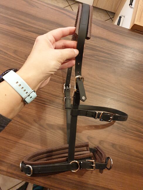 Kapzaum original Equimero, Equimero  Kapzaum, Pony, Isabel S., Bitless Bridles, Oberweiler im Tal, Image 6