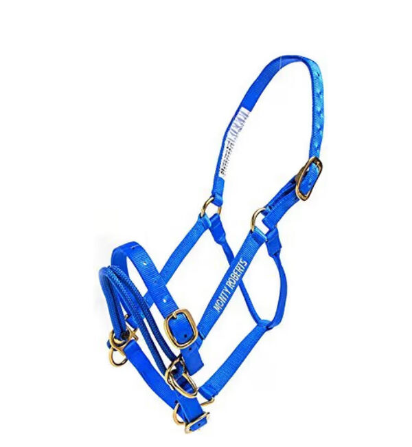 Original Monty Roberts Trainingshalfter (Full) mit Longe und Übungs-CD, Monty Roberts Duales Ausbildungs-Halfter, Bothe, Halters, Neuwied, Image 3