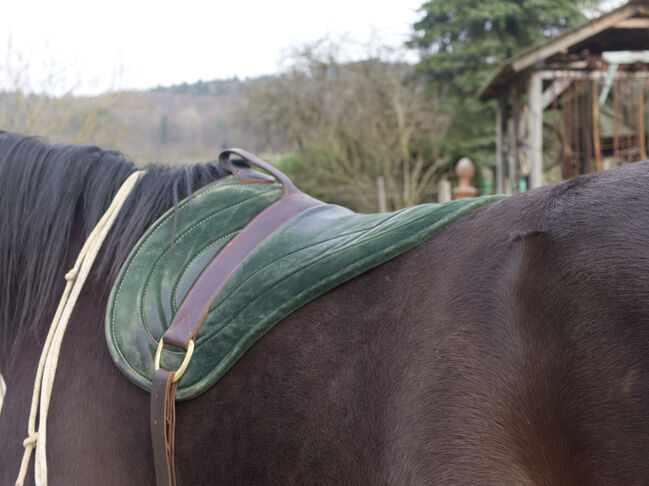 Originales Parelli Bareback Pad in schönem grün! Reitpad, Lederpad, Tannengrün, Parelli Natural Horsemanship Bareback Pad, Nine, Reitpad, Ettenheim, Abbildung 3