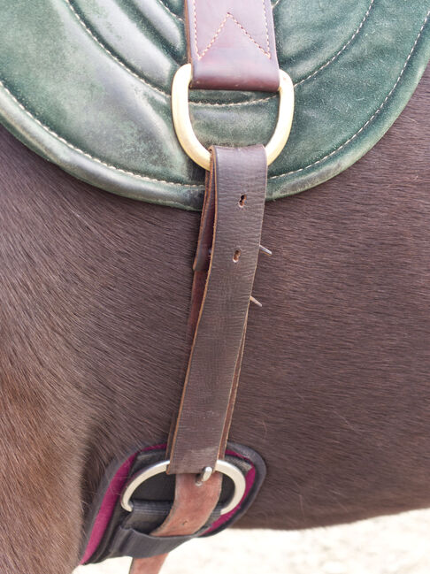 Originales Parelli Bareback Pad in schönem grün! Reitpad, Lederpad, Tannengrün, Parelli Natural Horsemanship Bareback Pad, Nine, Reitpad, Ettenheim, Abbildung 4