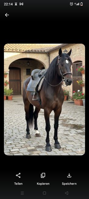 Original spanischer Sattel zur Deko oder Reparatur, Wolf Haiber , Other Saddle, Ilsfeld 