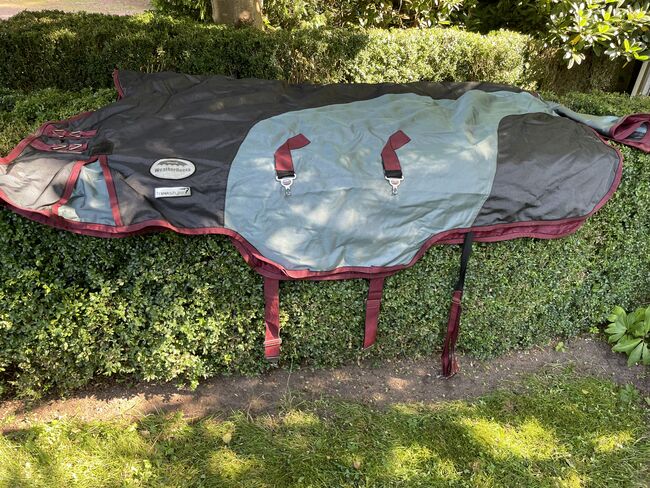 Regendecke WeatherBeeta, WeatherBeeta, Friederike , Derki dla konia, Lienen
