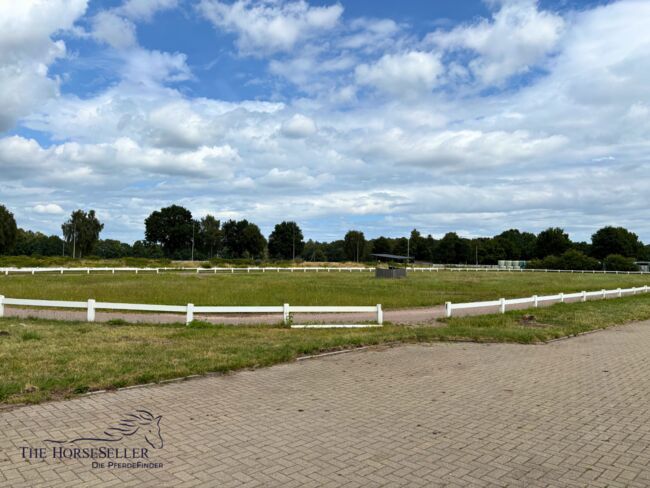 Reitanlage mit Stall & Wohnung zu verpachten – Reitschulgründung, Silke Köhler , Nieruchomości jeździeckie, Schneverdingen, Image 2
