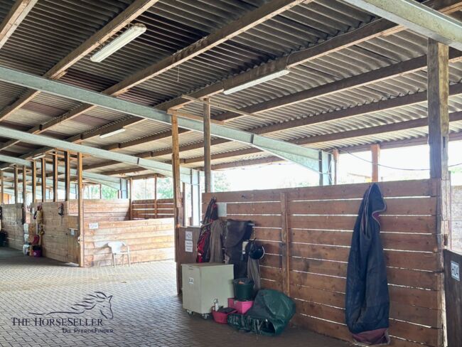 Reitanlage mit Stall & Wohnung zu verpachten – Reitschulgründung, Silke Köhler , Nieruchomości jeździeckie, Schneverdingen, Image 3
