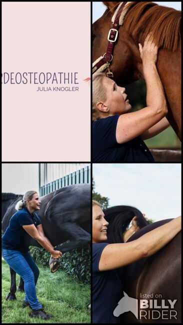 Osteopathie für dein Pferd in Bremen und umzu, Pferdeosteopathie Julia Knogler, Therapie & Behandlung, Bremen, Abbildung 6