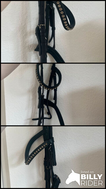 Otto Schuhmacher Trense, Otto Schuhmacher , Julie , Bridles & Headstalls, Bad Karlshafen, Image 4