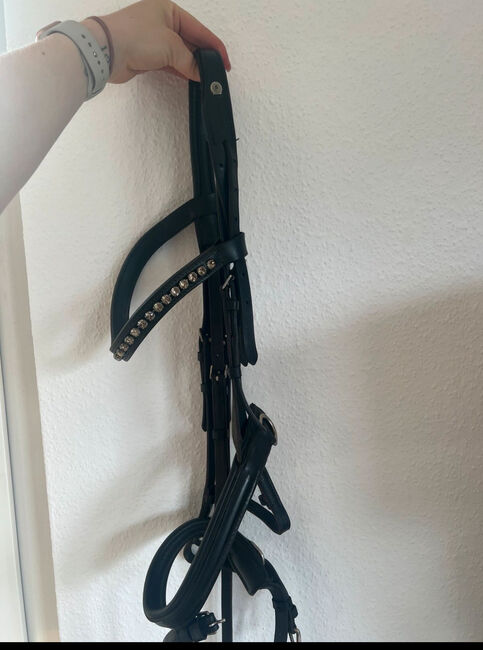 Otto Schuhmacher Trense, Otto Schuhmacher , Julie , Bridles & Headstalls, Bad Karlshafen, Image 2