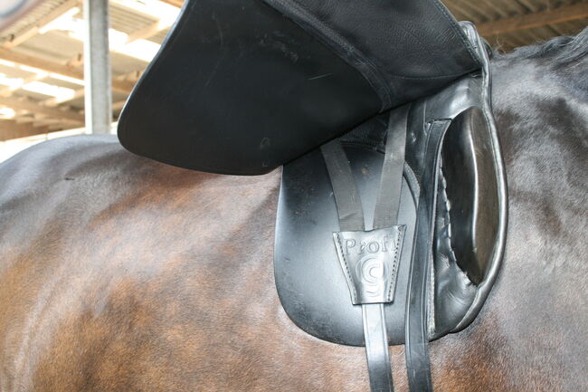 Otto Schumacher Profi Comfort, Otto Schumacher Profi Comfort, Nicola, Dressage Saddle, Neuss, Image 3