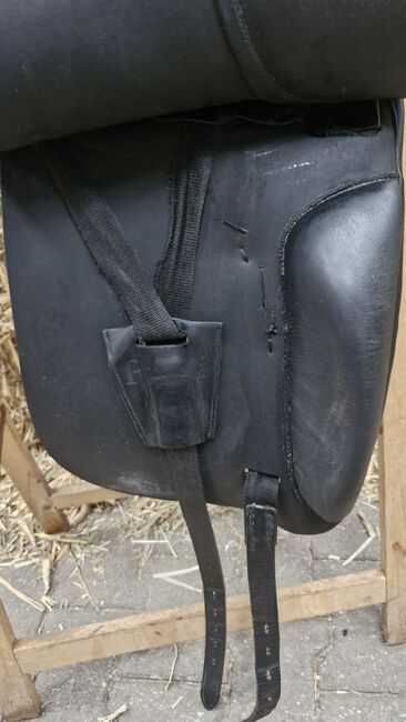 Otto Schumacher, Otto Schumacher  Provi Dynamic E, Rempe, Dressage Saddle, Verl, Image 5