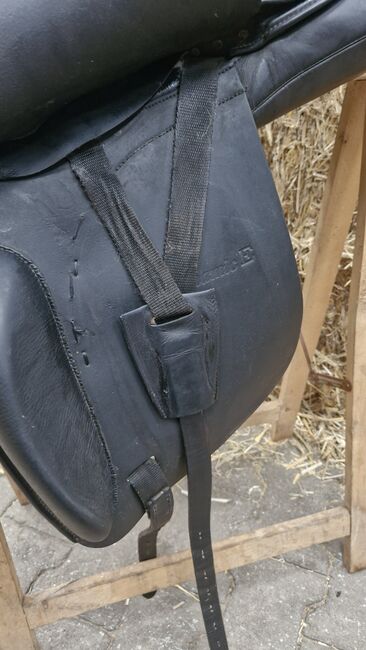 Otto Schumacher, Otto Schumacher  Provi Dynamic E, Rempe, Dressage Saddle, Verl, Image 3