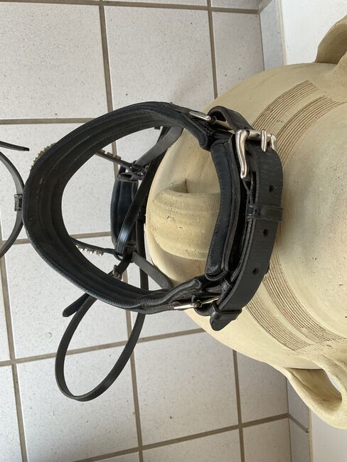 Otto Schumacher Trense Feel Good Warendorf, Otto Schumacher  Feel Good Warendorf , Martina, Bridles & Headstalls, Perl, Image 3