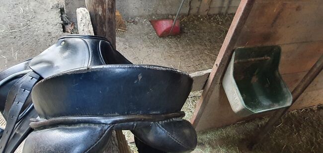 Otto Schuhmacher Profi Exklusiv, Otto Schuhmacher  Profi Exklusiv , Charlotte Rudolph , Dressage Saddle, Leverkusen, Image 5